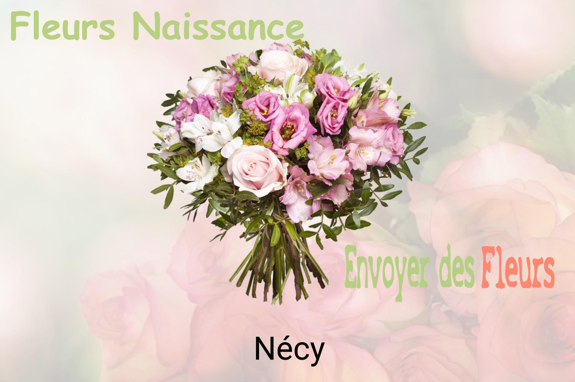 Bouquet de fleurs de naissance livré à Nécy